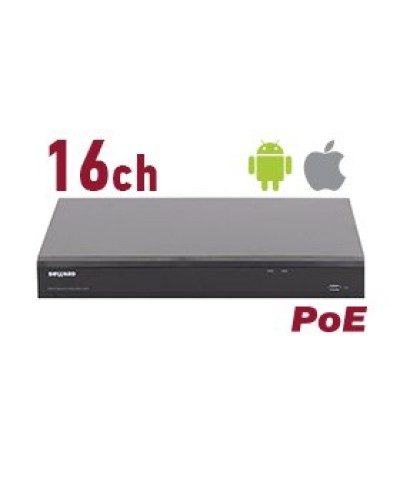 RK2216-P. Видеорегистратор IP 16-канальный. Beward в Йошкар-Оле