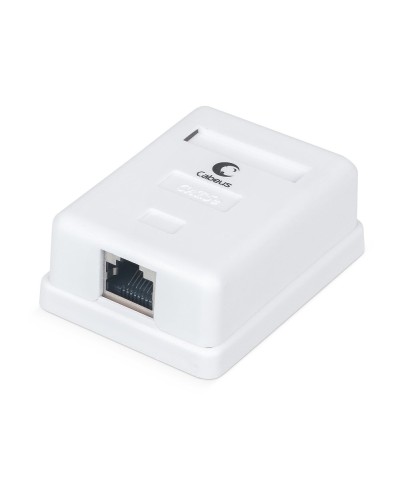 WS-8P8C-Cat.5e-SH-1 (7485c): Розетка RJ-45 в Йошкар-Оле