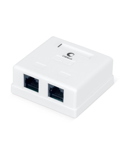WS-8P8C-Cat.6-2 (7482c): Розетка RJ-45 в Йошкар-Оле
