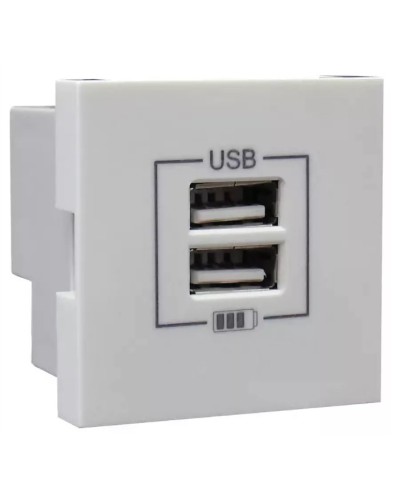Розетка USB двойная, зарядная, белая (45439 SBR): Розетка USB двойная в Йошкар-Оле