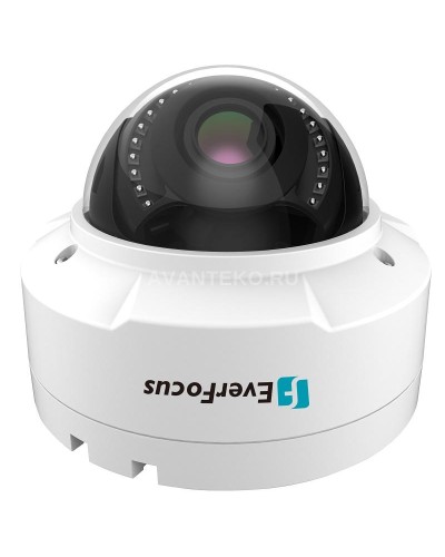 EHN-1250. Видеокамера IP купольная. EverFocus в Йошкар-Оле