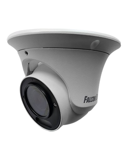 FE-IPC-DV2-40pa. Видеокамера IP купольная. Falcon EYE в Йошкар-Оле