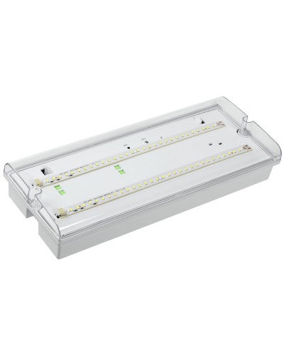 Светильник аварийный ДПА 5042-1 1ч IP65 LIGHTING (LDPA0-5042-1-65-K01). Светильник аварийный универсальный. IEK в Йошкар-Оле