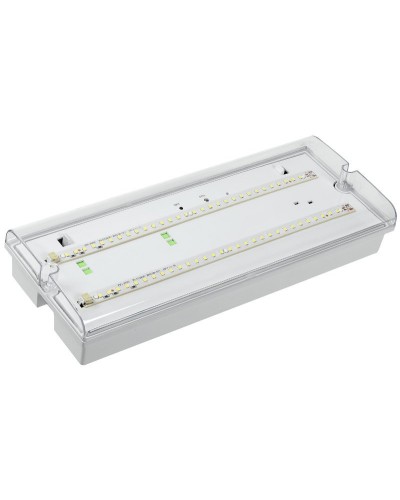 Светильник аварийный ДПА 5042-3 3ч IP65 LIGHTING (LDPA0-5042-3-65-K01). Светильник аварийный универсальный. IEK в Йошкар-Оле