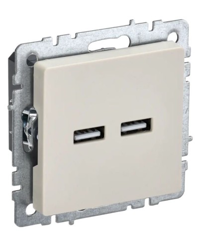 Розетка USB A+A 3,1А РЮ10-1-БрКр бежевый BRITE (BR-U21-D31-K10). Розетка USB. IEK в Йошкар-Оле