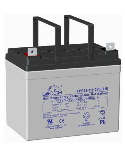 LEOCH LPG 12-31. Аккумулятор герметичный свинцово-кислотный. LEOCH в Йошкар-Оле