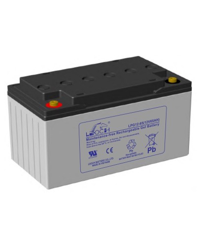 LEOCH LPG 12-65. Аккумулятор герметичный свинцово-кислотный. LEOCH в Йошкар-Оле