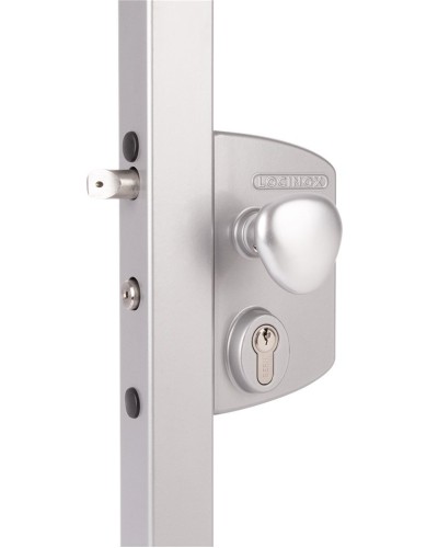 LIKQ4040 U2L (цвет: RAL 9005, черный). Замок электромеханический для калиток. Locinox в Йошкар-Оле
