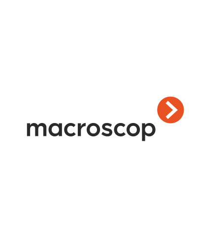 Расширение с LS до ST. Программное обеспечение (опция). MACROSCOP в Йошкар-Оле
