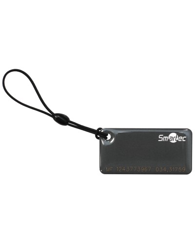 ST-PT015MF-GR. Брелок. Smartec в Йошкар-Оле