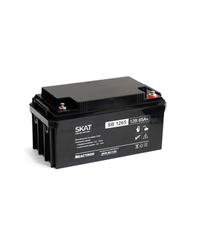 SKAT SB 1265 (2541). Аккумулятор герметичный свинцово-кислотный. Бастион в Йошкар-Оле