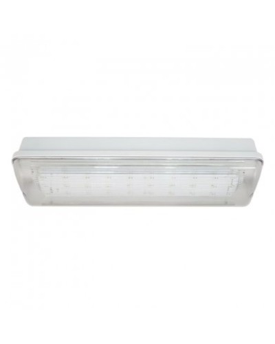 SL-223-30LED1.8 исп. 1, IP65. Светильник аварийного освещения. ИП Раченков А.В. в Йошкар-Оле