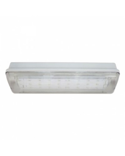 SL-213-30LED1.8 исп.1 IP54. Светильник аварийного освещения. ИП Раченков А.В. в Йошкар-Оле