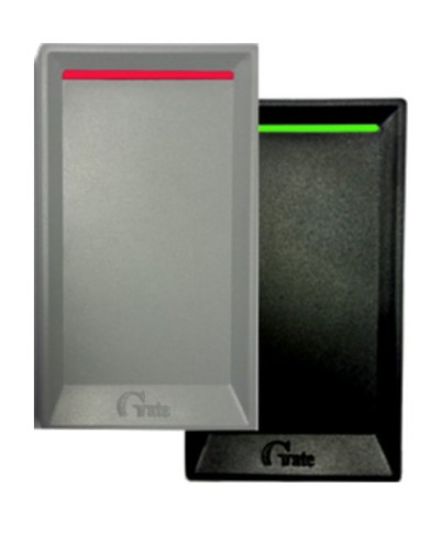 Gate-Reader-EH. Считыватель. Равелин в Йошкар-Оле