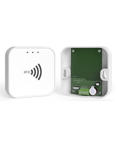 RFID-TM. Считыватель RFID. Ритм в Йошкар-Оле